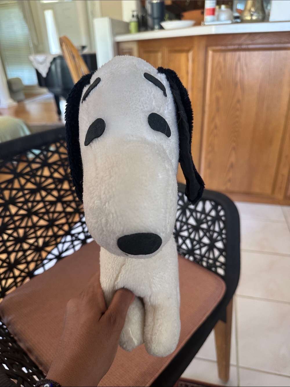 Plush Dog Squeaky Toy - White and Black